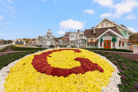 Cuffy's of Cape Cod The Fabric of The Cape